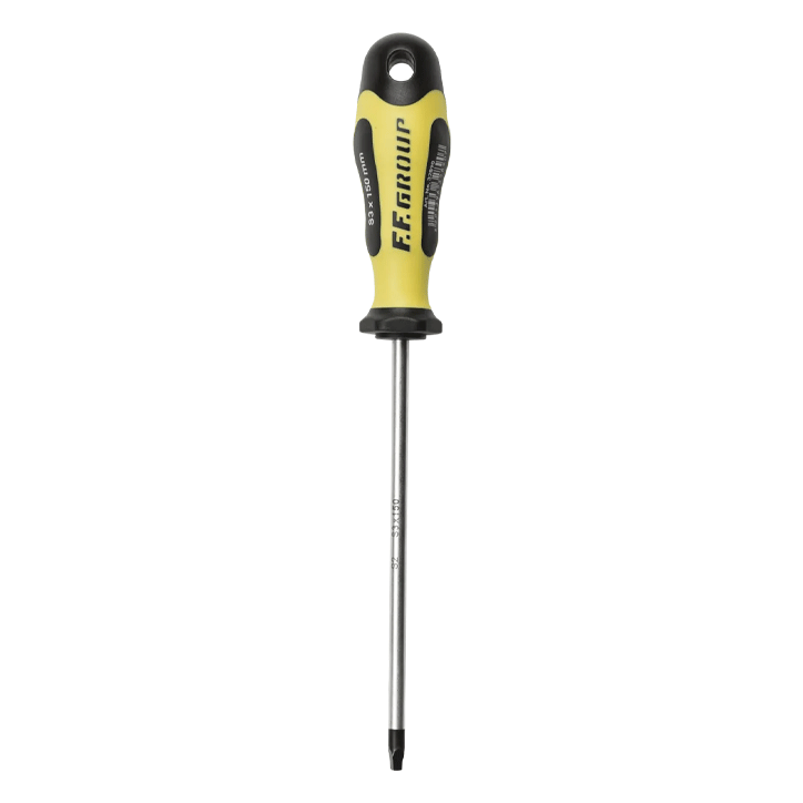 PRO GRIP SCREWDRIVER TORX 25X100MM FF GROUP