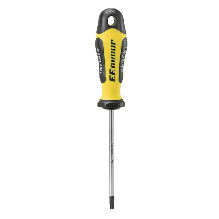 PRO GRIP SCREWDRIVER TORX 20X100MM FF GROUP