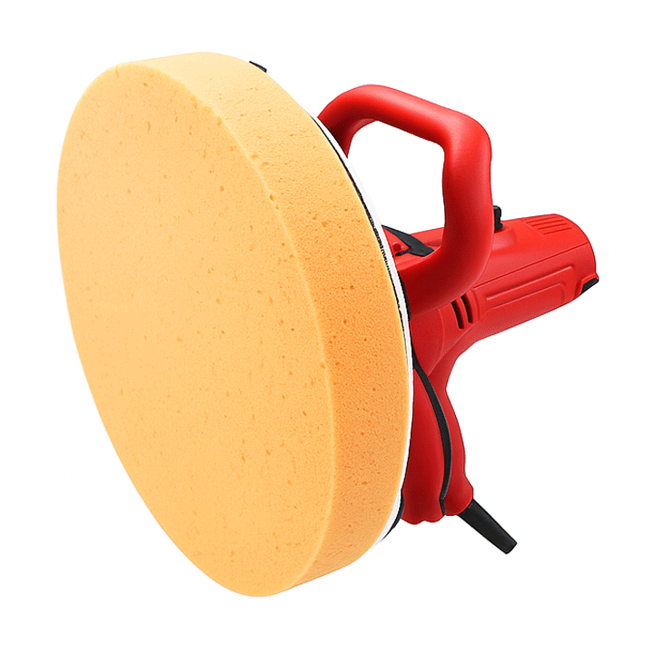 SANDER SPONGE DAY WALL