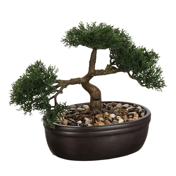 BONSAI IN CERAMIC POT H23CM