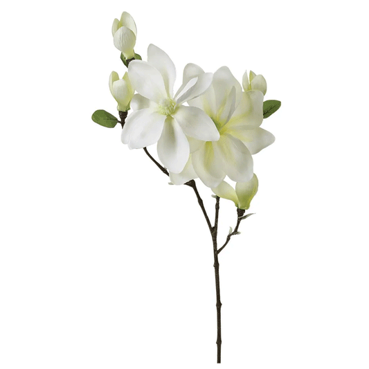 MAGNOLIA STEM H83