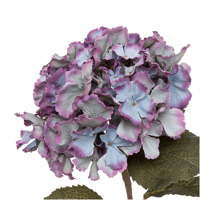 BLUE HYDRANGEA STEM H83