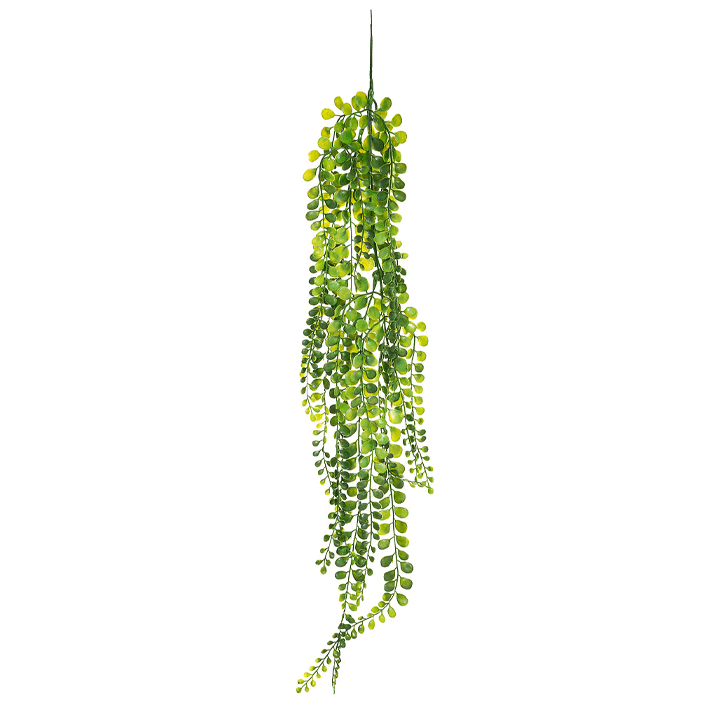 FALLING PLANT