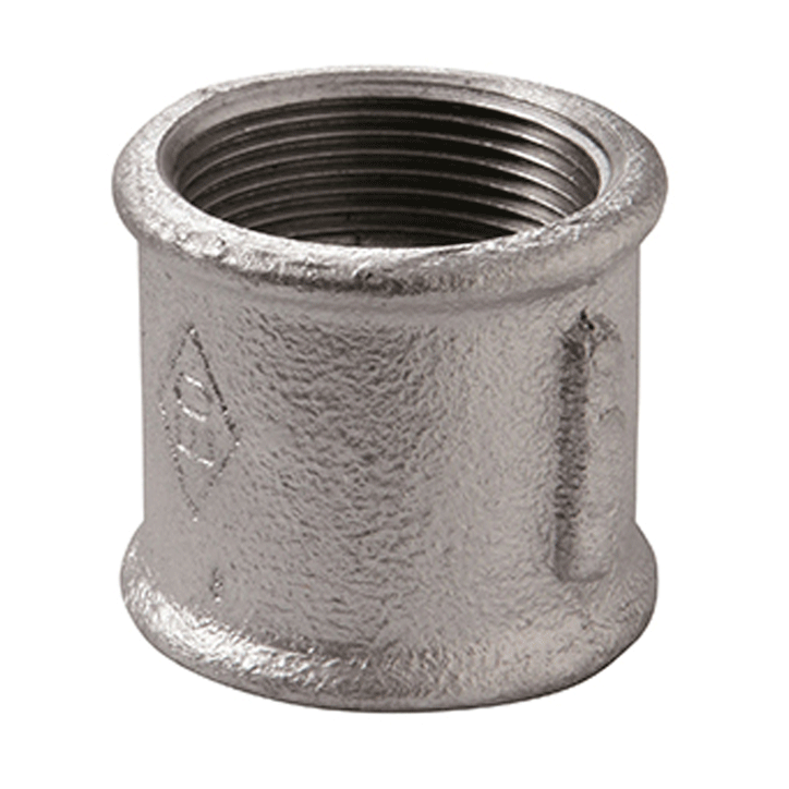 PELEZIKIA GALBANIZE 2''