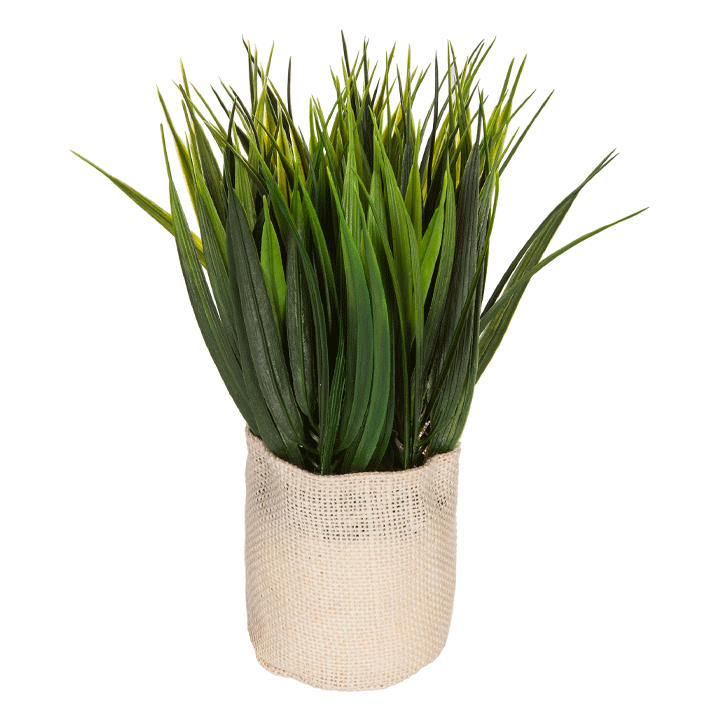 PLANT JUTE POT FACTORY H25