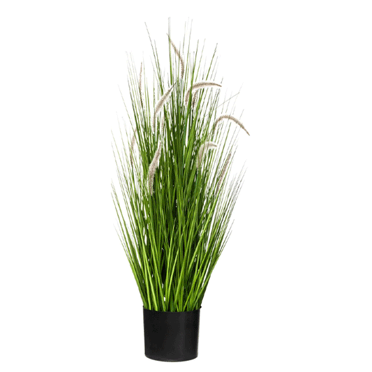 GRASS BUNCH W CAT TAILS H100