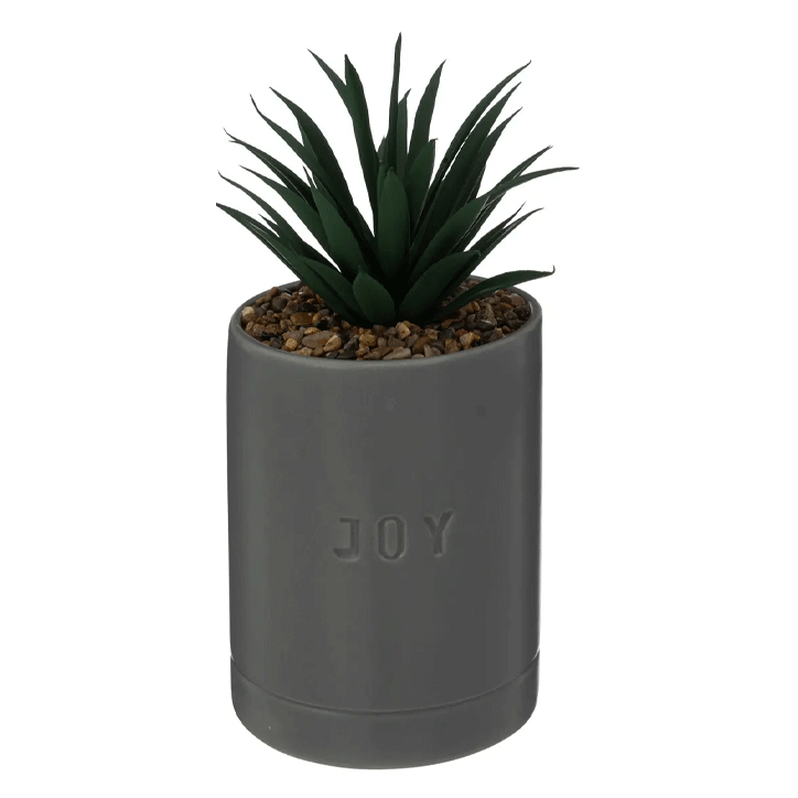 PLANT W/ GREY CRMC POT H20