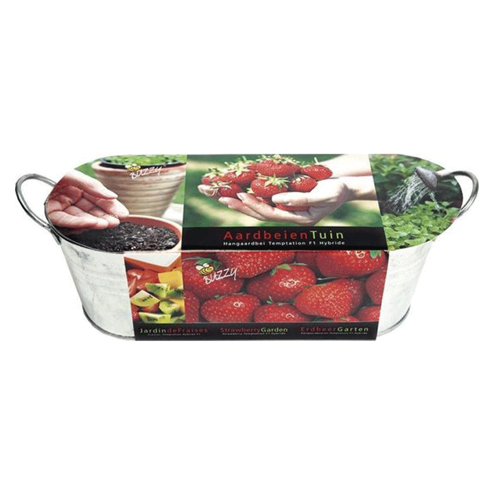 ΔΙΣΚΟΣ ΦΡΑΟΥΛΑΣ ΚΗΠΟΣ