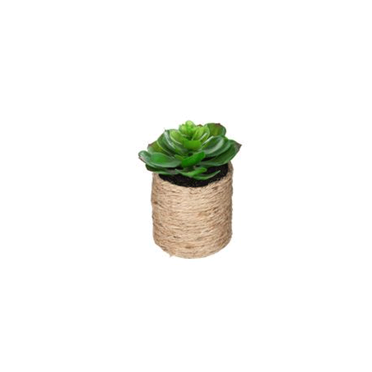 GREEN PLANT ROPE POT H16