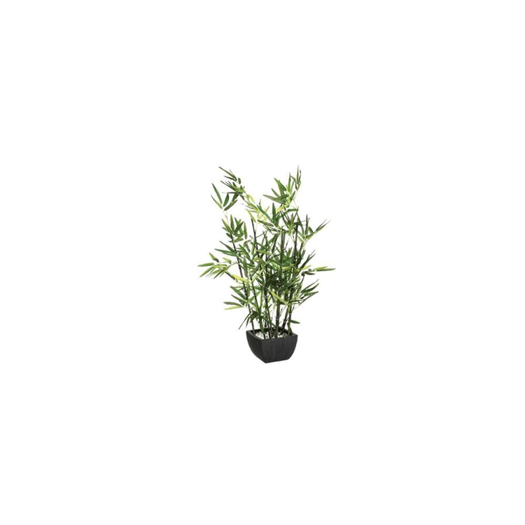 BAMBOO WITH POT H70