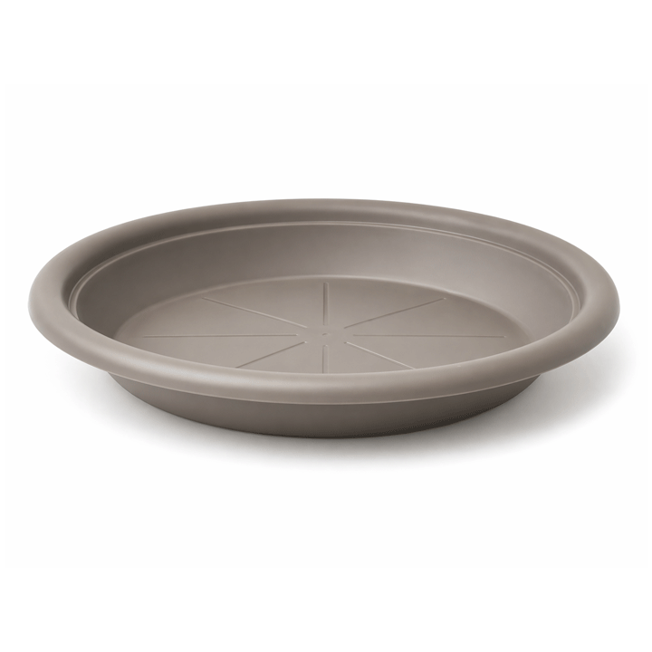 ΠΙΑΤΟ ΓΛΑΣΤΡΑΣ NORMAL 54X6,5CM PP TAUPE