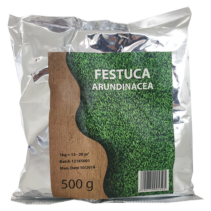 ΣΠΟΡΟΙ ΓΚΑΖΟΝ FESTUCA 500GR