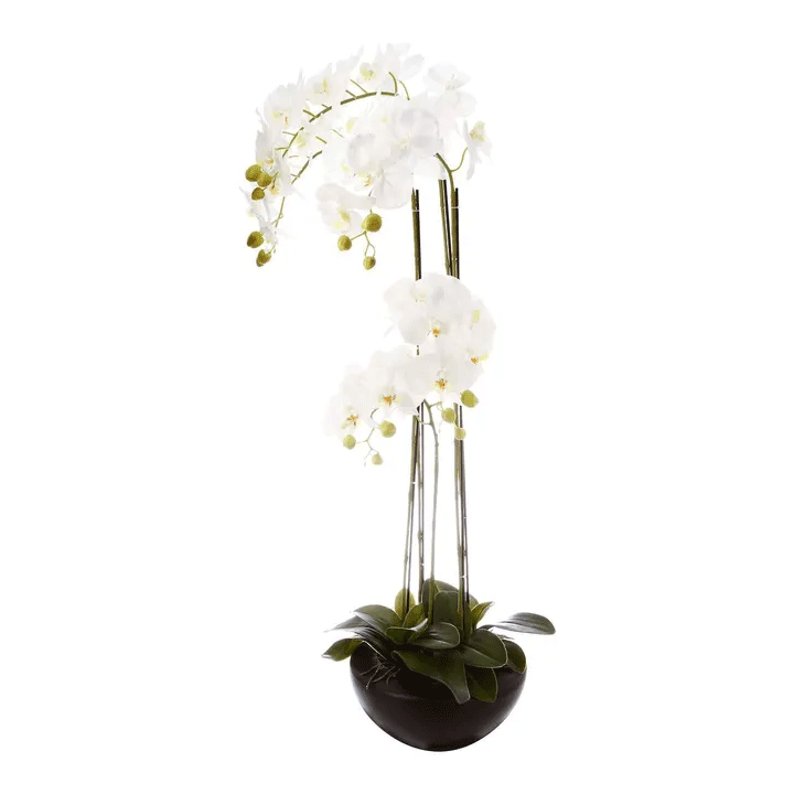 ORCHID IN CERAMIC POT H115