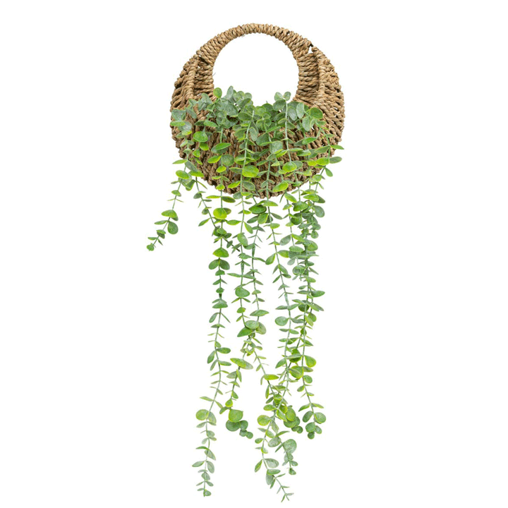 NAT HANGING EUCALYPTUS ZEA H70