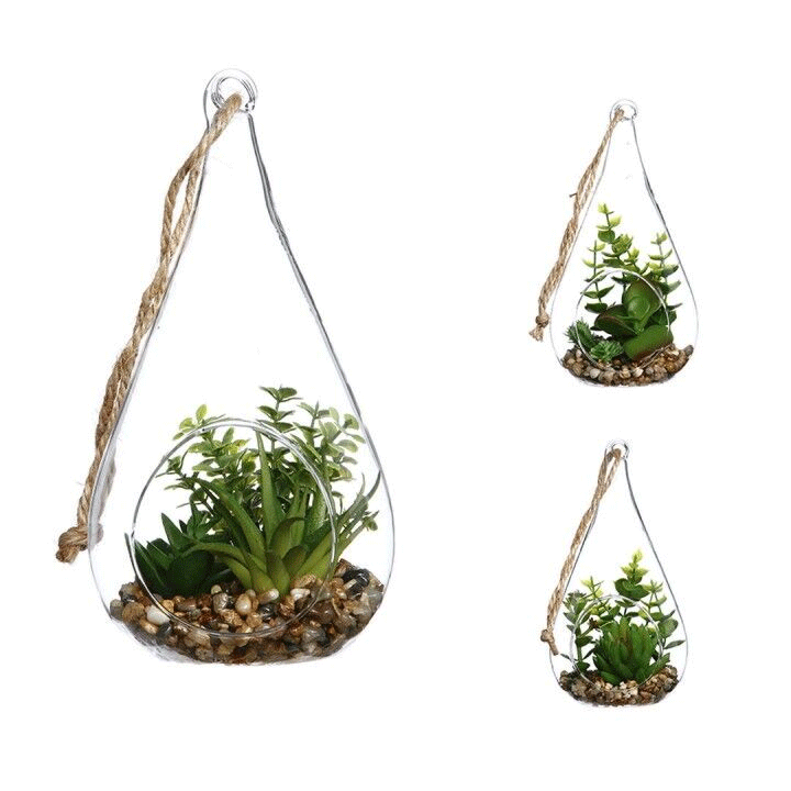 PLANT ARRANGEMENT H19.5CM