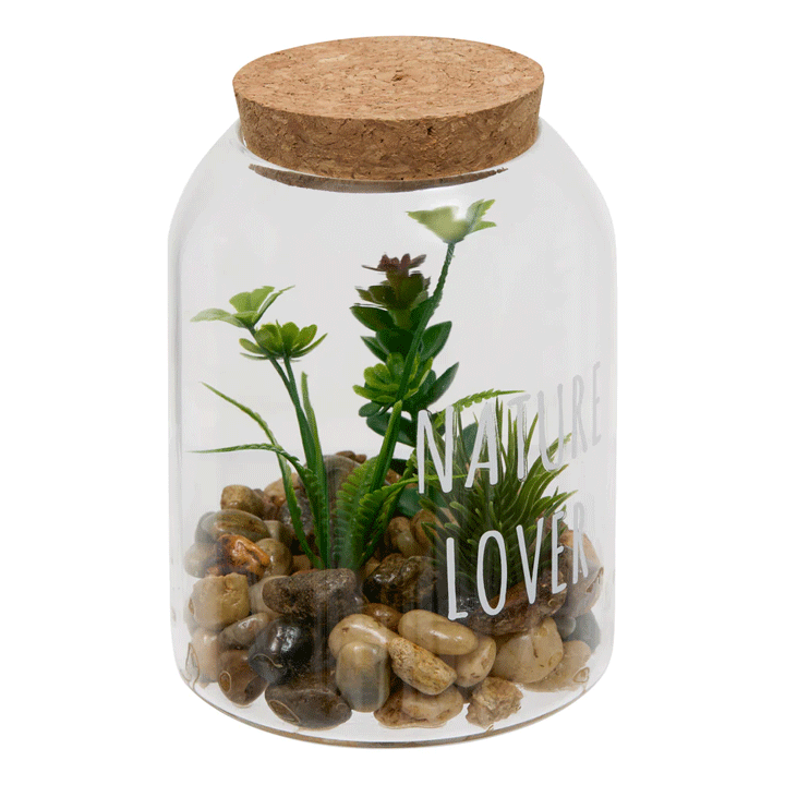 TERRARIUM W/PLANT ADY H13