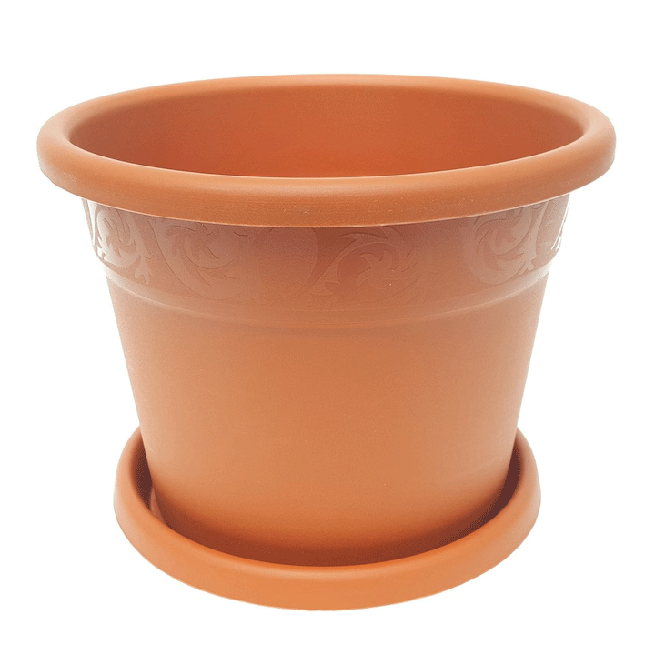 FLOWER POT W/TRAY No6