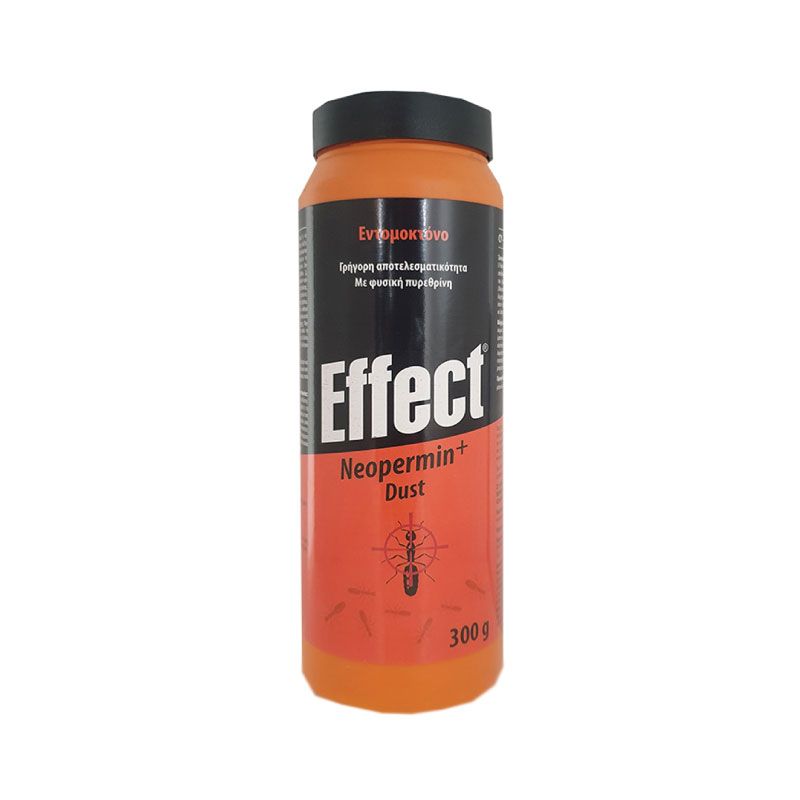 EFFECT DUST 300GR