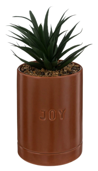 PLANT W/ TOF CRMC POT AVI H20