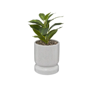 PLANT REACTIVE CRMC POT H30