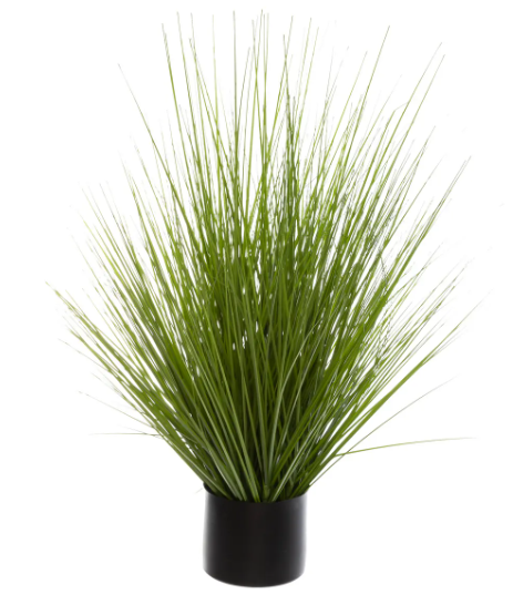 GRASS BUNCH W PL POT H74