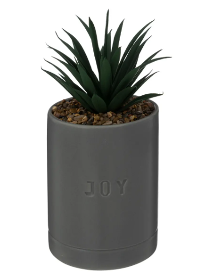 PLANT W/ GREY CRMC POT H20