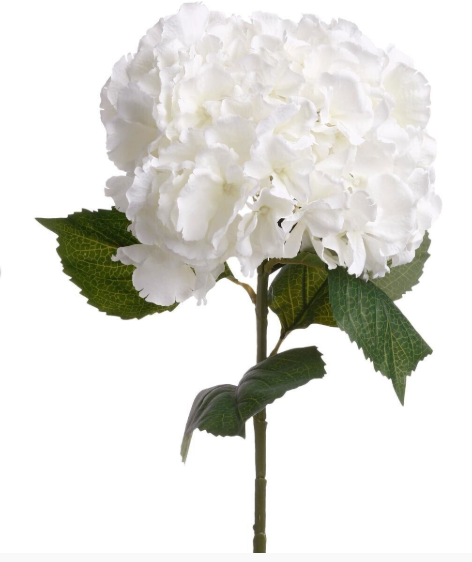 WHITE HYDRANGEA STEM