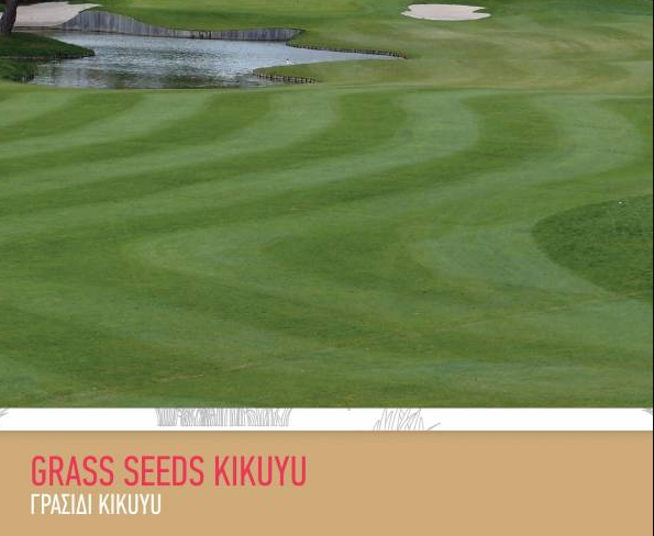 GRAS SSEEDS KIKUYU 200GR