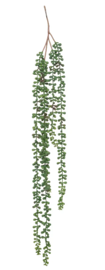 FALLING RAGWORT H73
