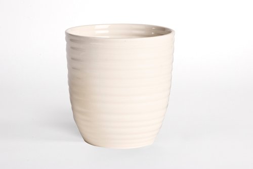 MOKKA CUP D6 WHITE