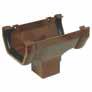 T CHOLETRAS IN BROWN