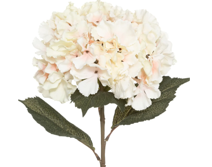 PINK HYDRANGEA STEM H83