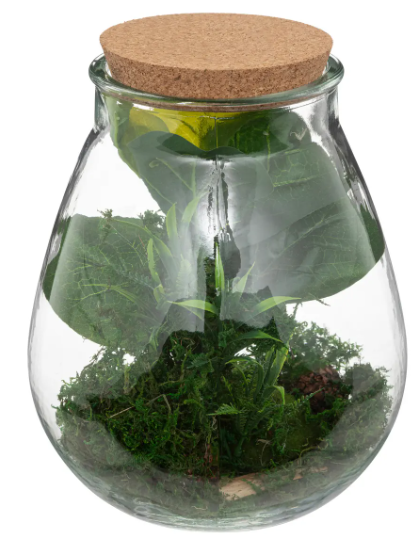 GLASS TERRARIUM BOTA H29,5