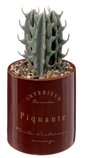 CRMC POT W PLANT BOTA BG