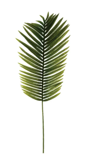 PALM LEAF STEM H113