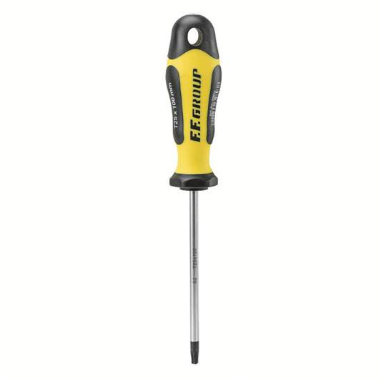 PRO GRIP SCREWDRIVER TORX 15X100MM FF GROUP