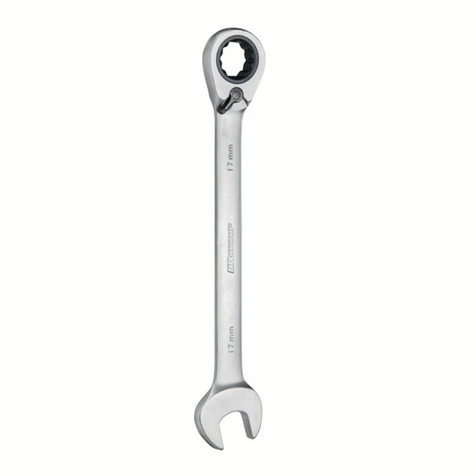 2-WAY RATCHETING COMBINATION SPANNER 21MM FF GROUP