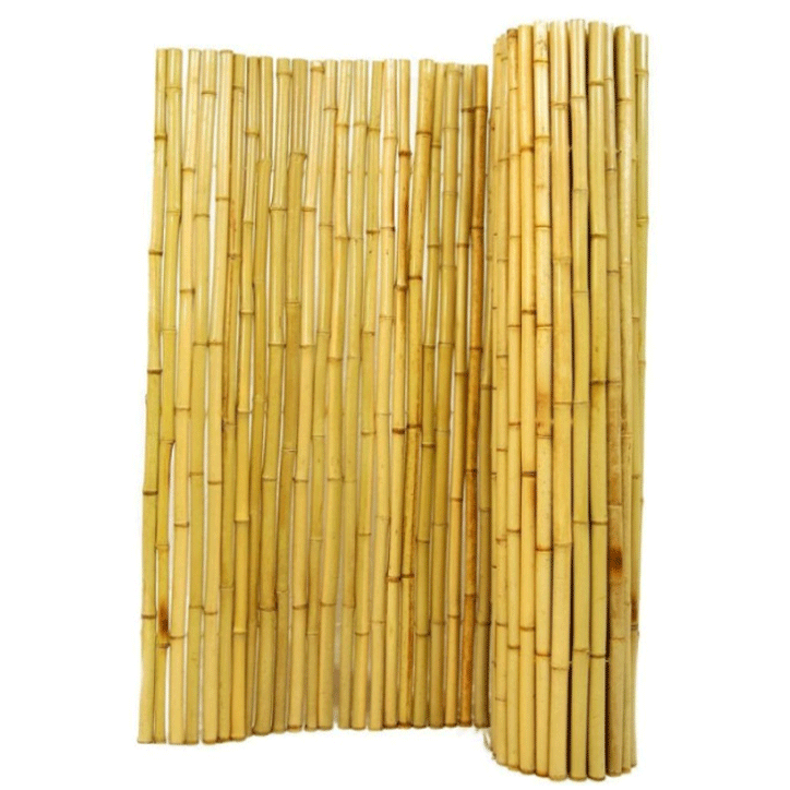 BAMBOO CANE MOSO 24-28MM 3M