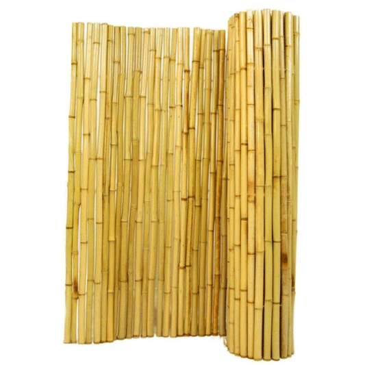 BAMBOO CANE MOSO 24-28MM 3M