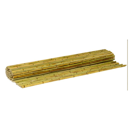 BAMBOO CANE MOSO 24-28MM 3M
