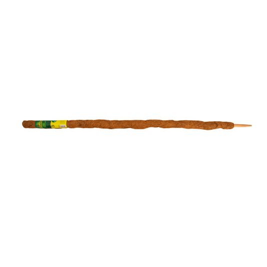 CE NORT COCO STAKE 1.5CM 45MM