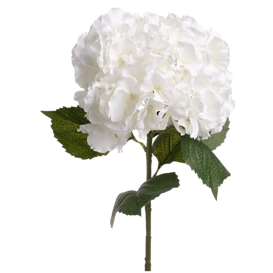 WHITE HYDRANGEA STEM