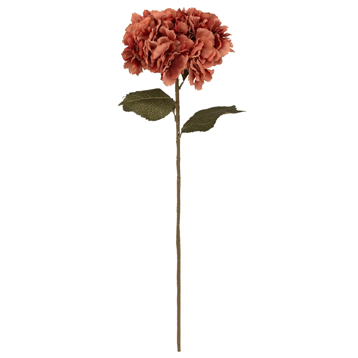 PLUM HYDRANGEA STEM GYPSY H83