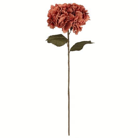 PLUM HYDRANGEA STEM GYPSY H83