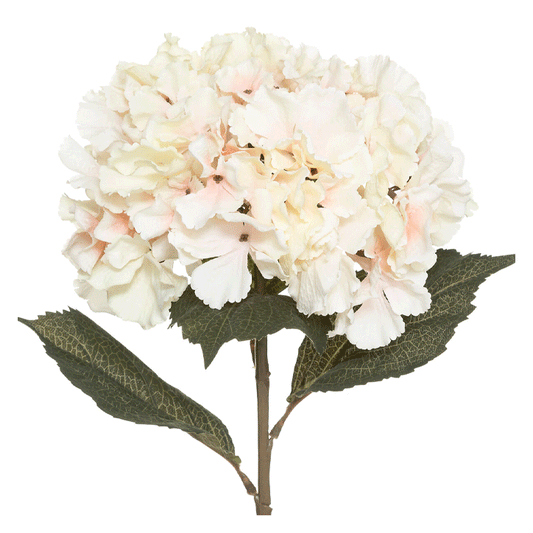 PINK HYDRANGEA STEM H83