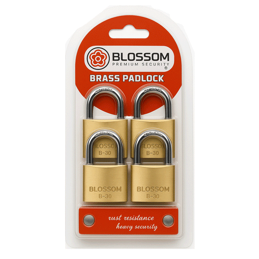 PADLOCK 20MM SET 4PCS BLISTER BLOSSOM