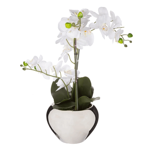 ORCHID IN SILVER POT H53CM