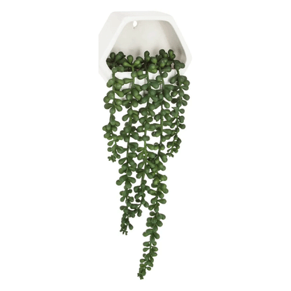 WALL VINE PLANT CEM CONTEMP