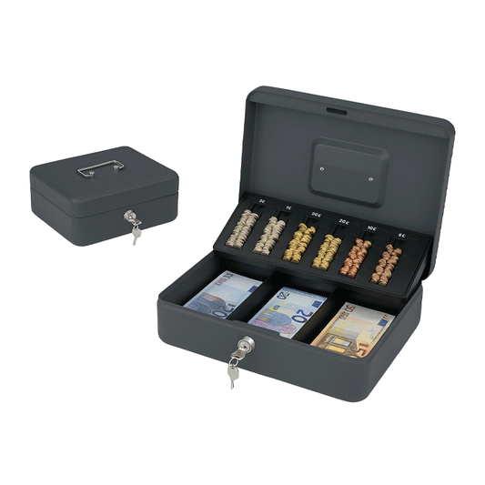 MONEY BOX EURO W/LOCK MOT MB300EU