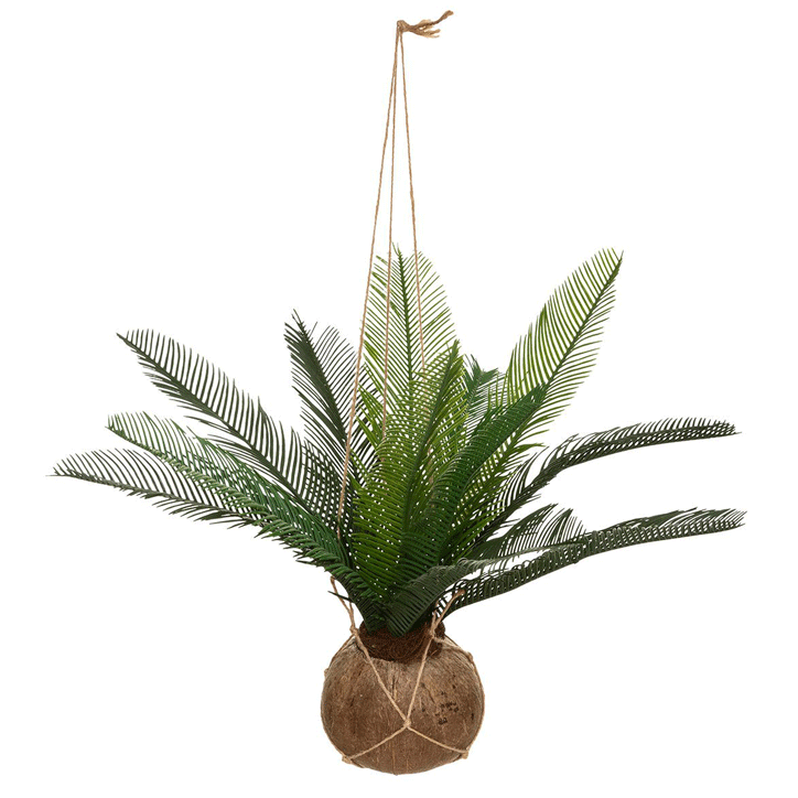 PALM W COCONUT POT H50